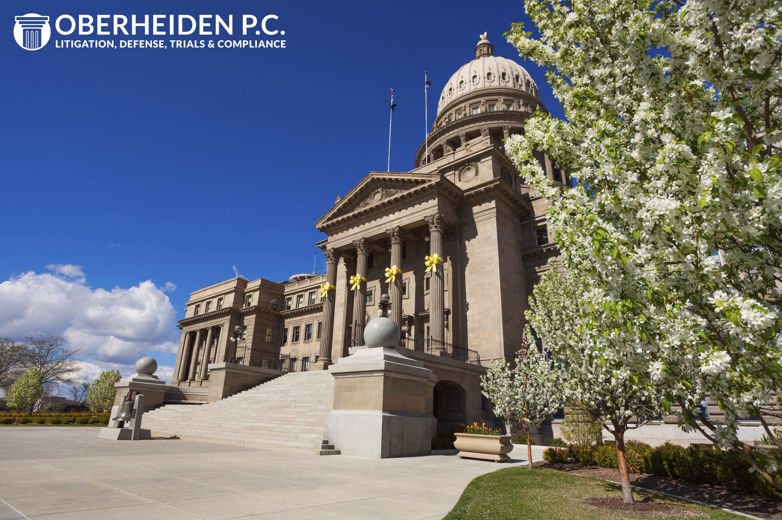 Idaho Federal Criminal Defense Lawyer