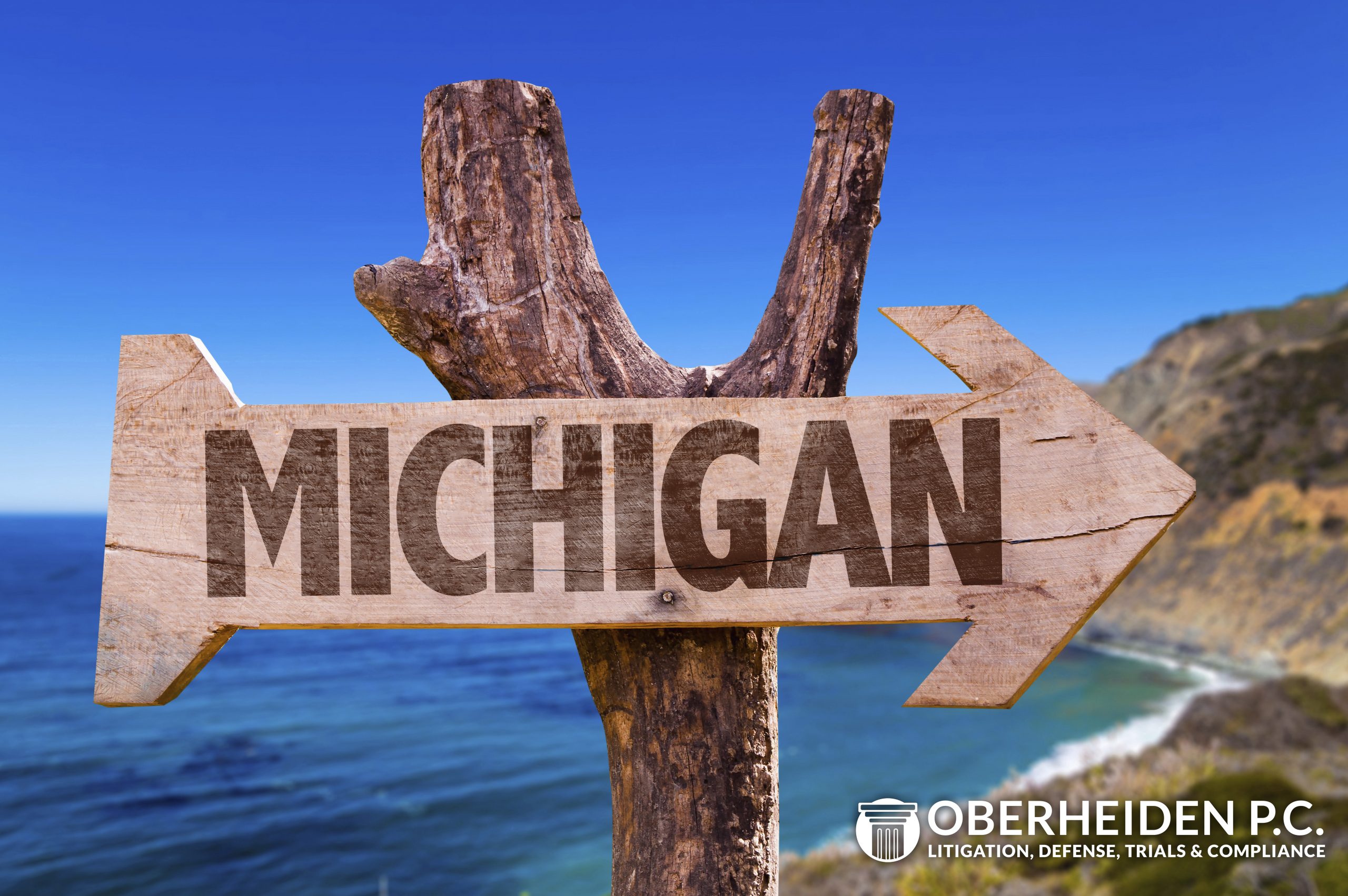 Michigan Federal Criminal Defense Lawyers