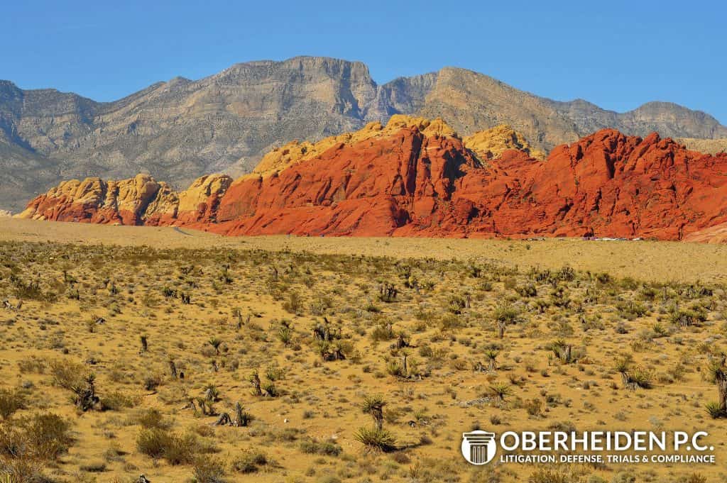 Nevada Federal Criminal Defense Lawyers